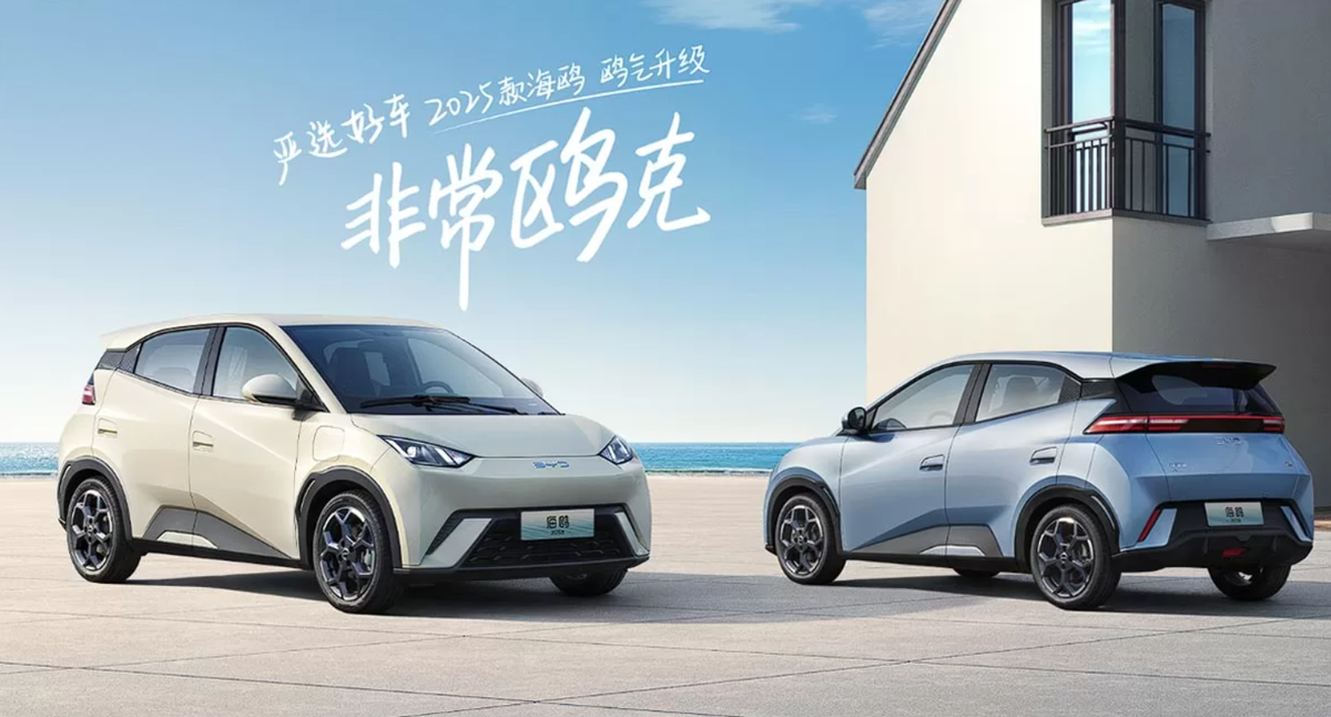 BYD Seagull занимает по итогам 1-го полугодия уверенное второе место.