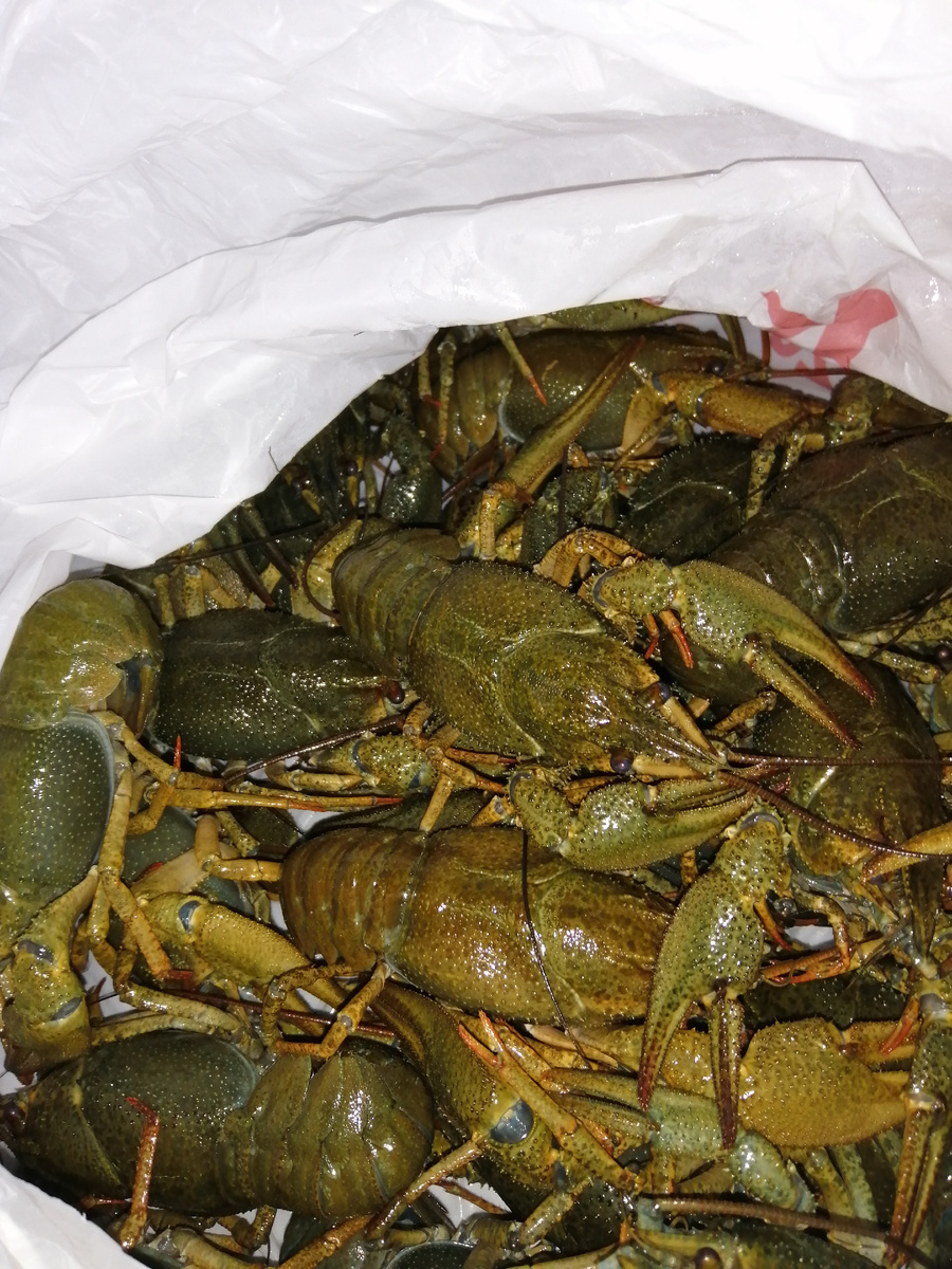 Снимок с телефона.