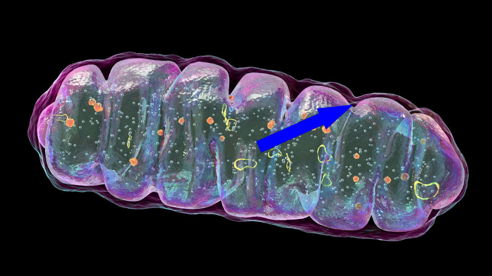    Чудо-лекарство для маленького мальчика с смертельной редкой болезнью открыто впервые в мире
