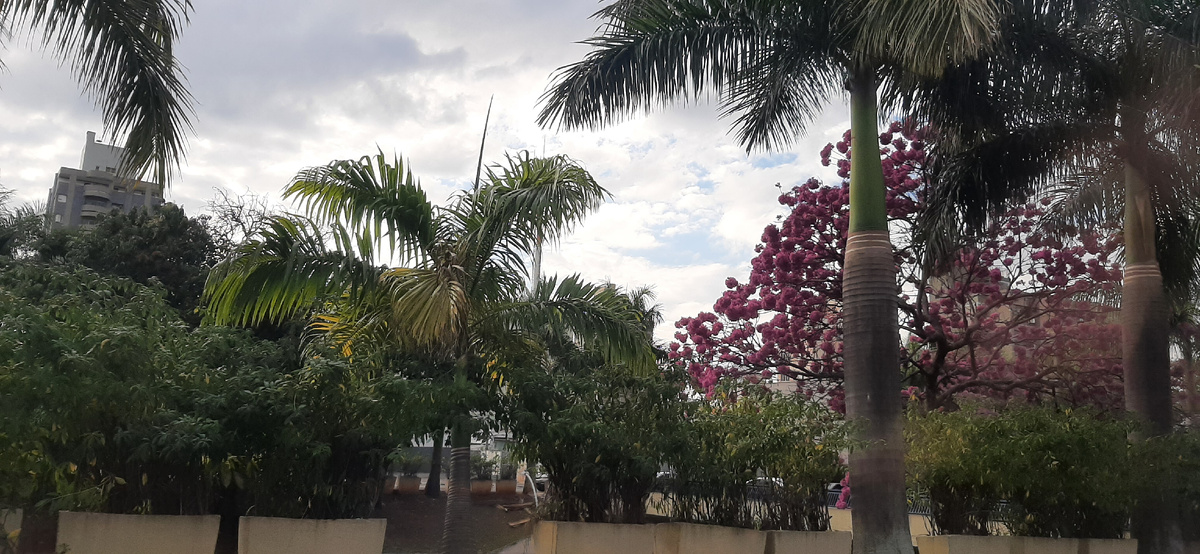 Бразилия, город Кампинас (штат Сан-Паулу)