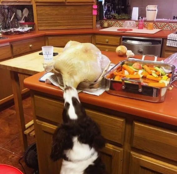 Фото с сайта Pinterest