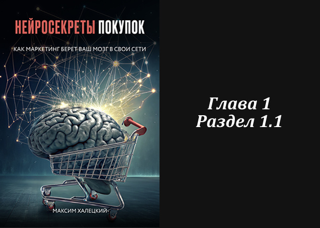 1.1. Сенсорная «воронка»: почему 90% информации мозг отсекает сразу