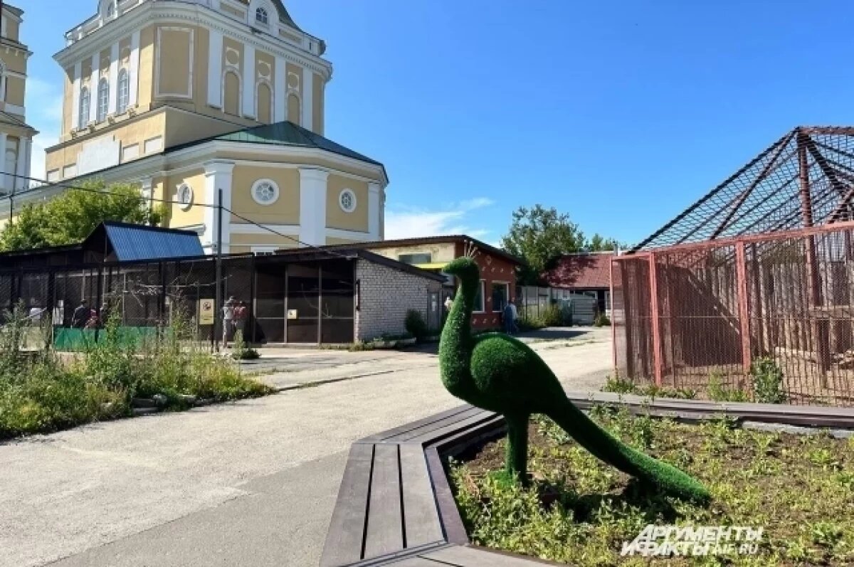    «Купите слона».