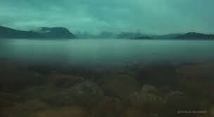 картинка из общего доступа. 