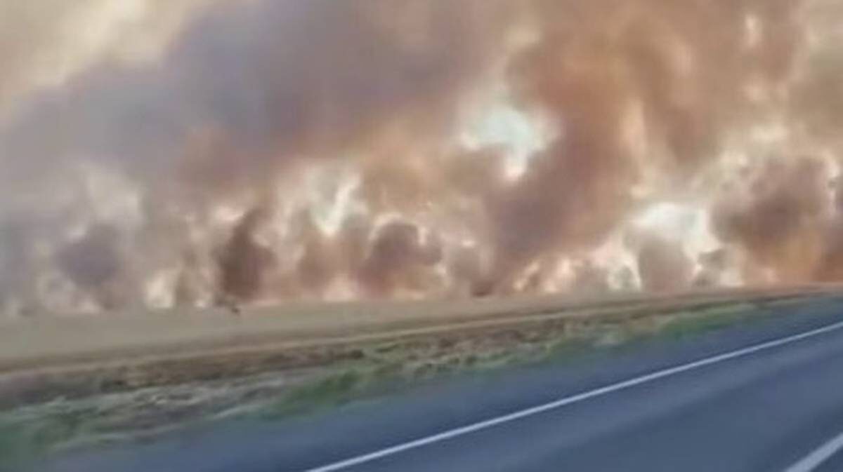    Фото: Скриншот с видео / Ростов главный / Telegram