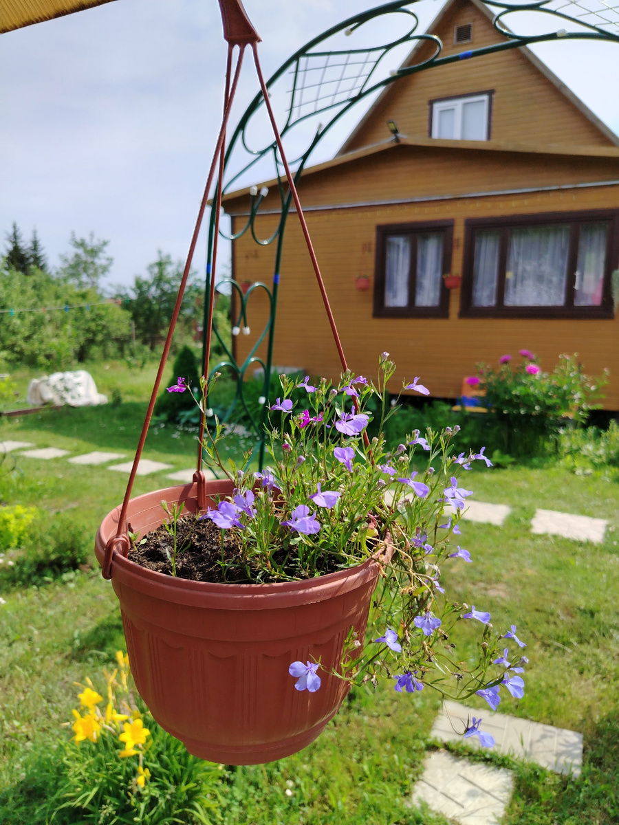 На моей даче