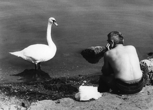 Фотограф Франтишек Досталь 