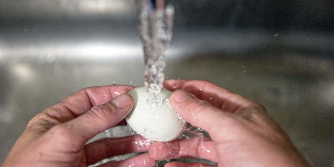 ЧТО БУДЕТ ЕСЛИ НЕ МЫТЬ КУРИНЫЕ ЯЙЦА?