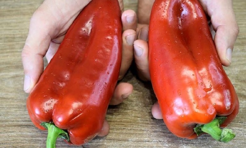 Балканские маринованные перцы: идеальная закуска перед шашлыком