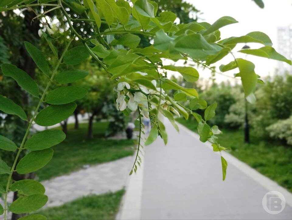    Фото: "Городские вести"