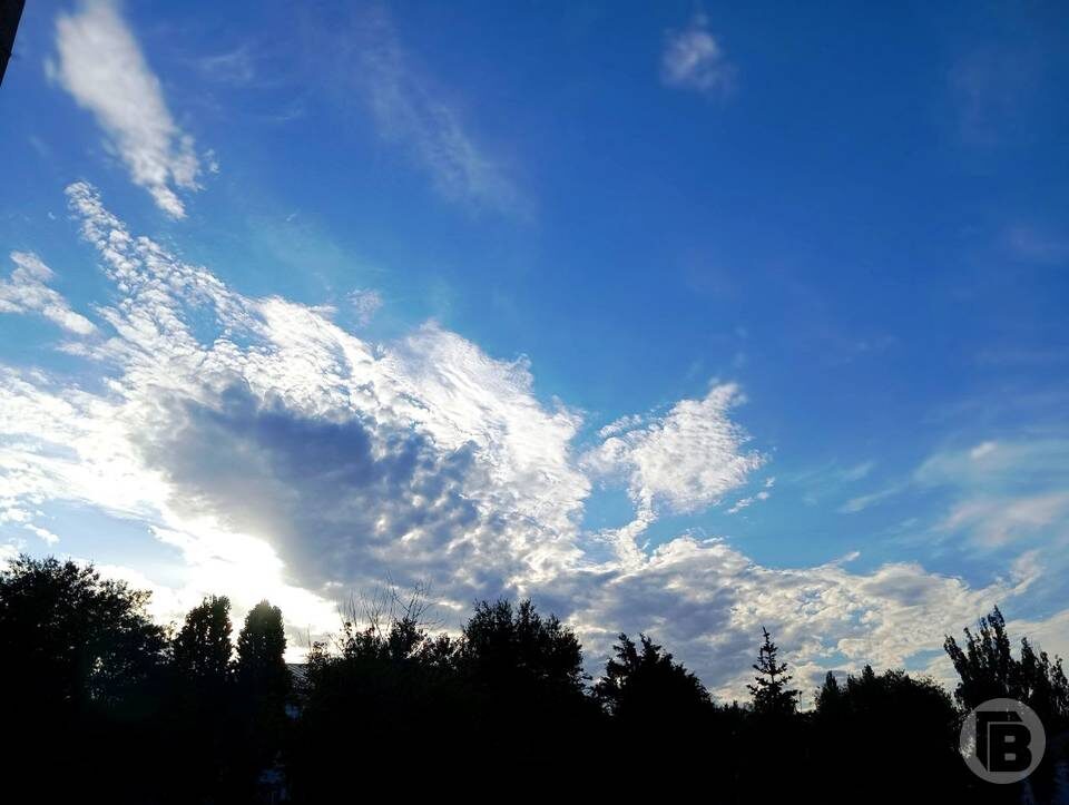    Фото: "Городские вести"