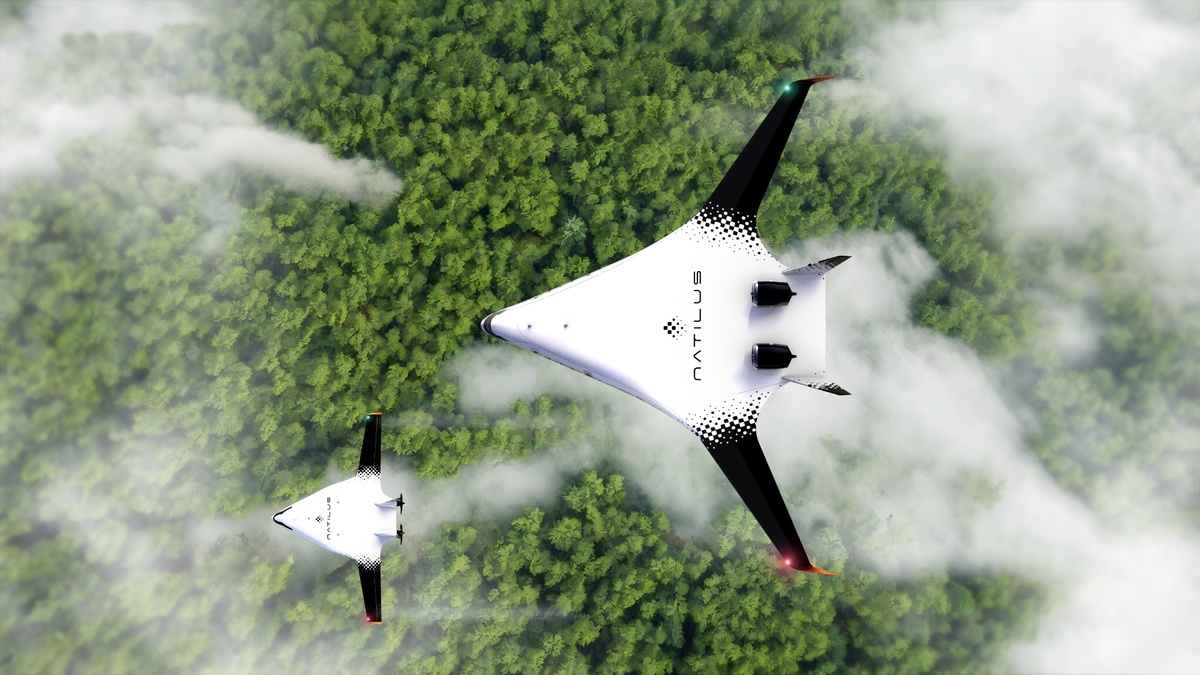 Фото: Nautilus  📷
