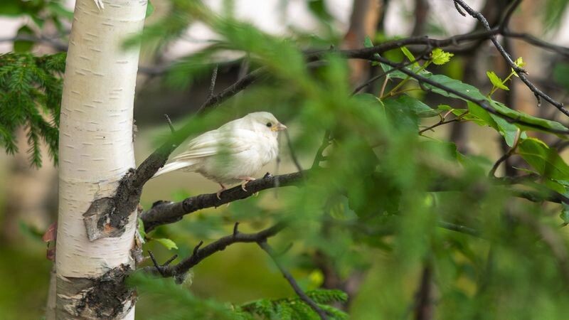   Фото: Федор Воронов / «Ямал-Медиа»