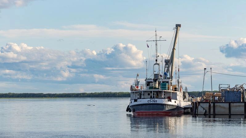    Фото: Александр Чирва / «Ямал-Медиа»