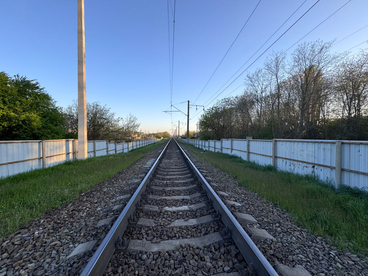    Фото: Екатерина Мухамедова/BFM Кубань