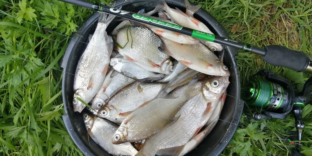 Как правильно выбрать легкое фидерное удилище