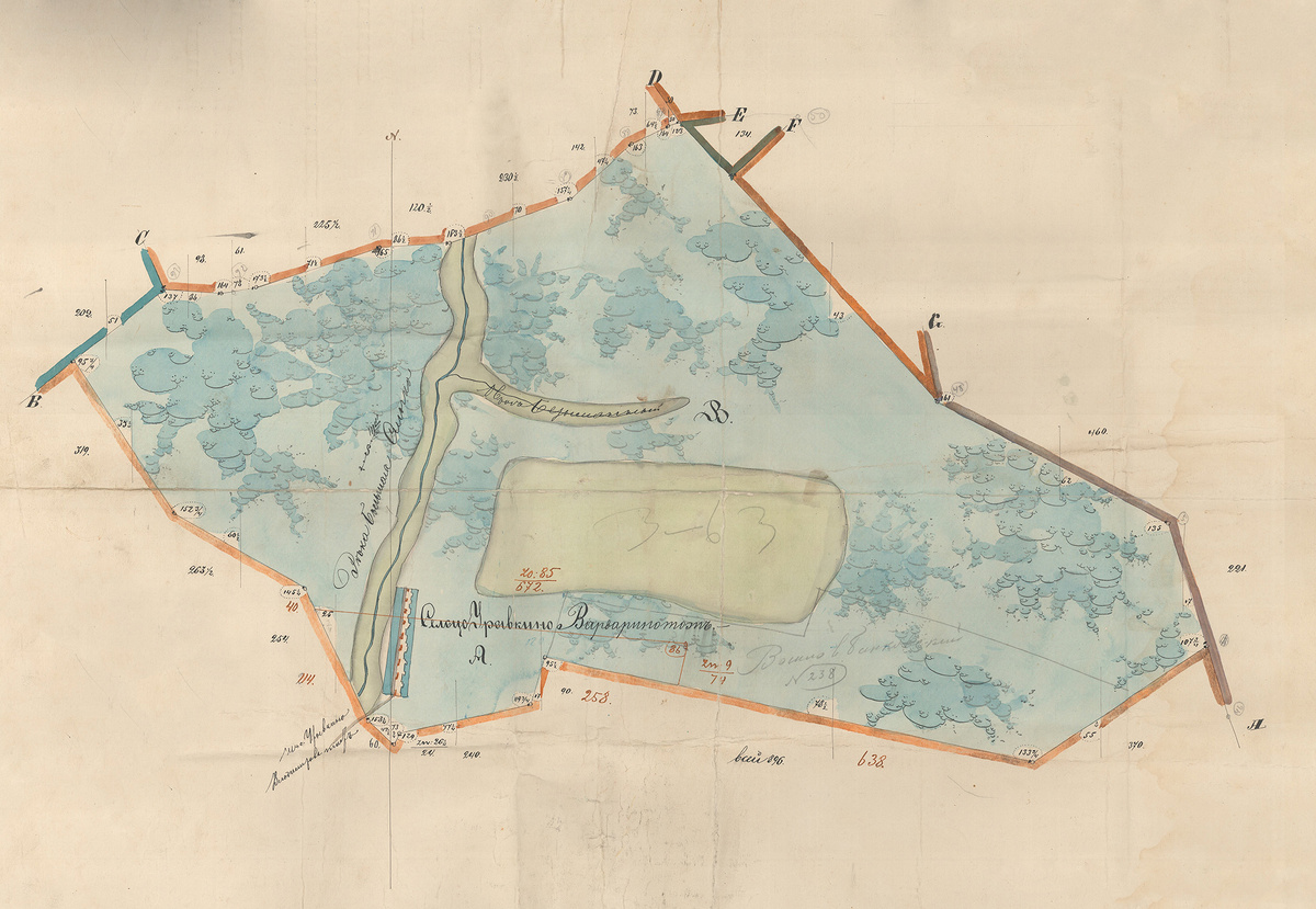 1868 год. Владение В.А. Барановой.
