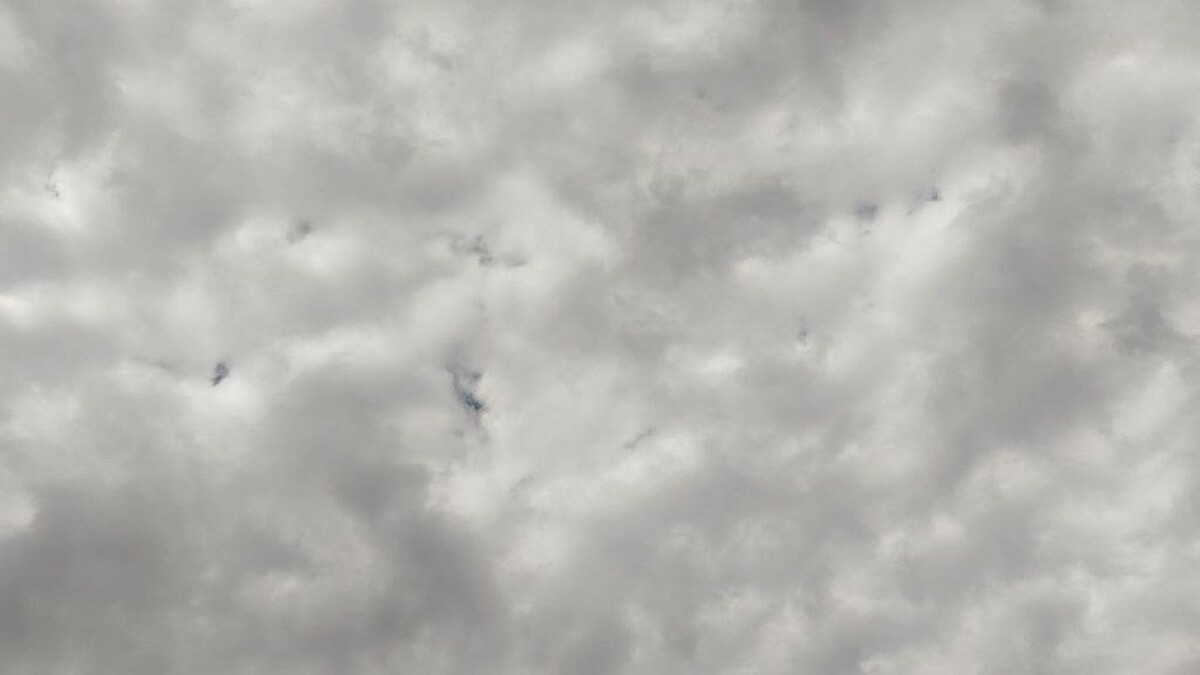    Фото: телеканал «Краснодар»