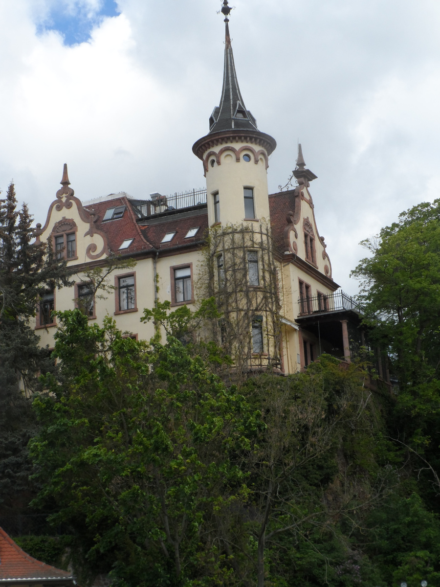 Гримма, весна 2019 года...