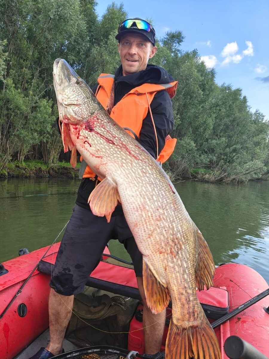    Сибиряк выловил гигантскую щуку. Источник: vk.com/fishingsibru