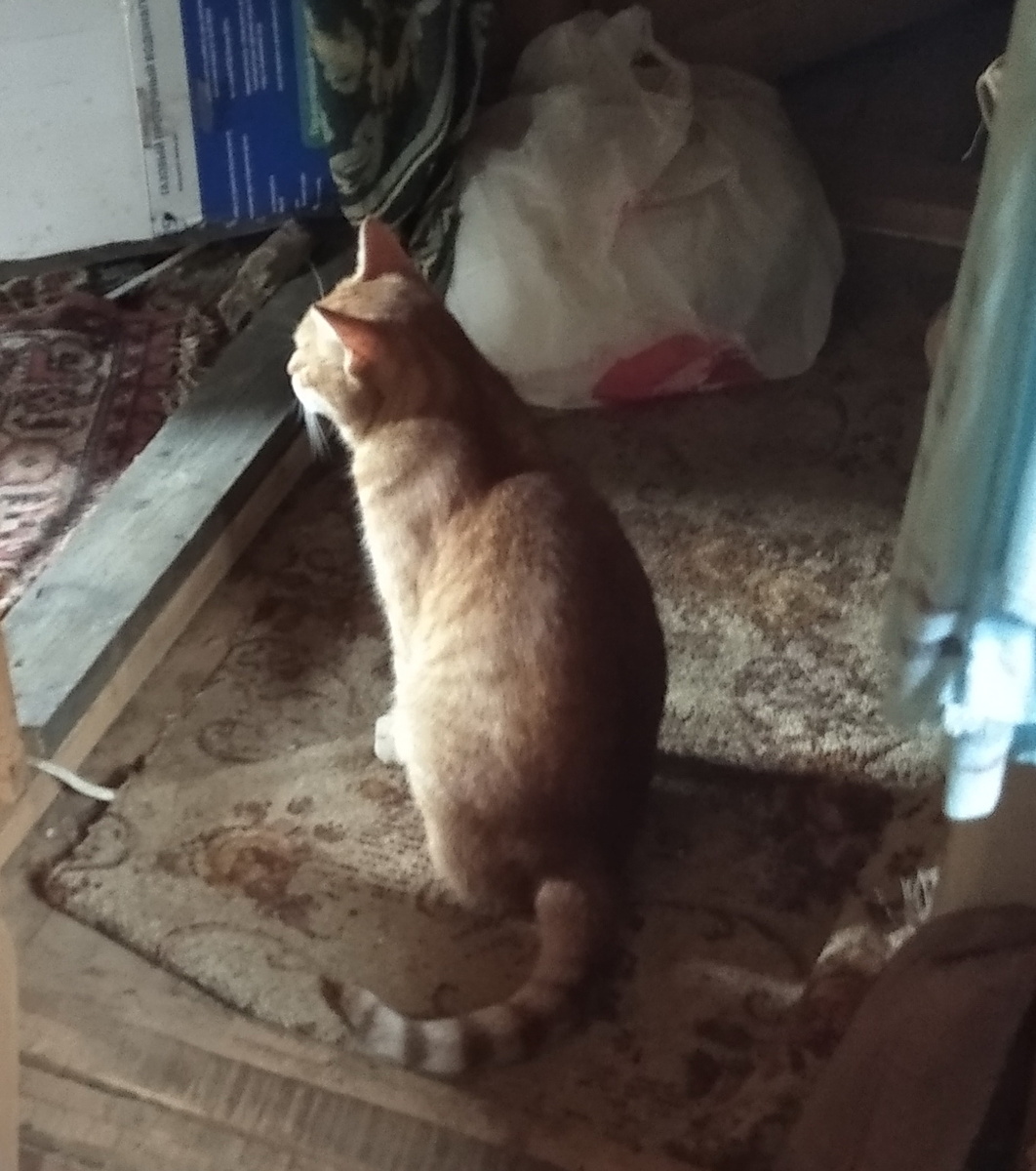 личное фото