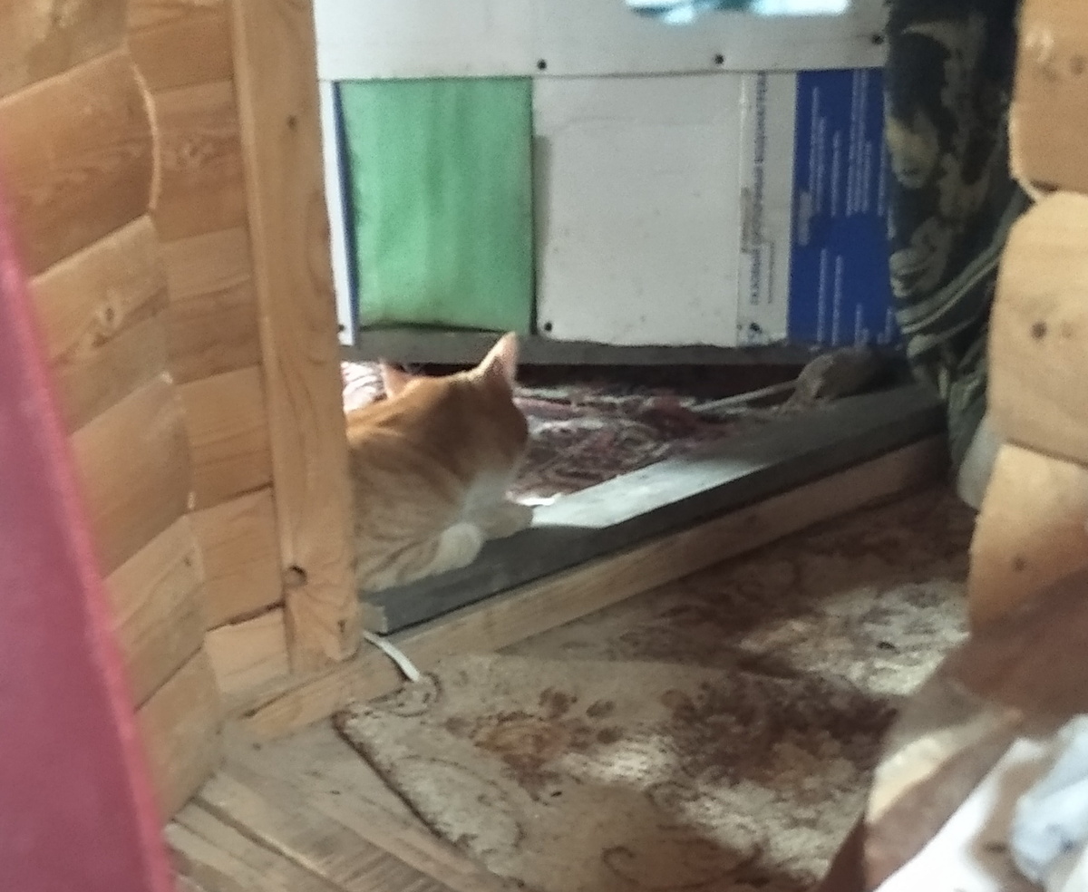 личное фото