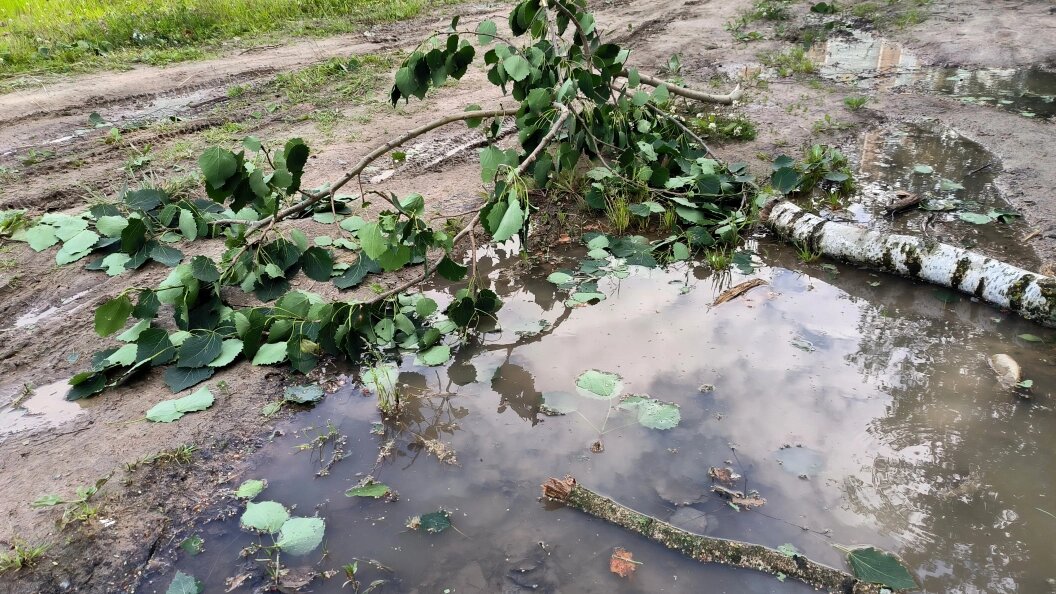    Maksim Konstantinov/Global Look Press/Globallookpress