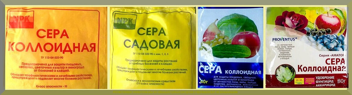 https://vk.com/photo-159774511_457271765