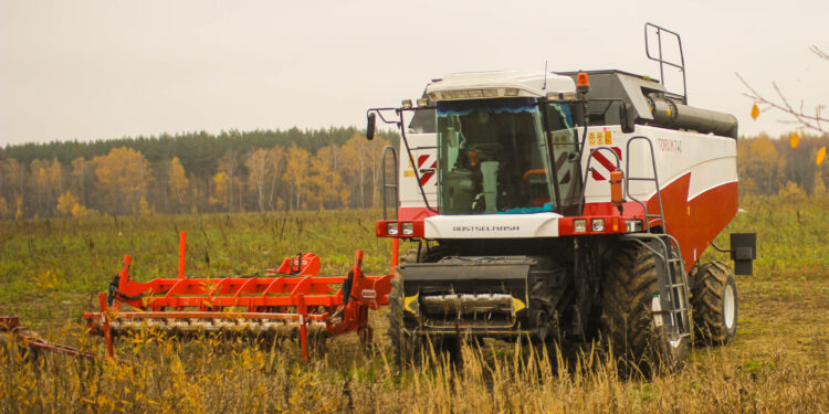    Илья Тушев / Вести Подмосковья