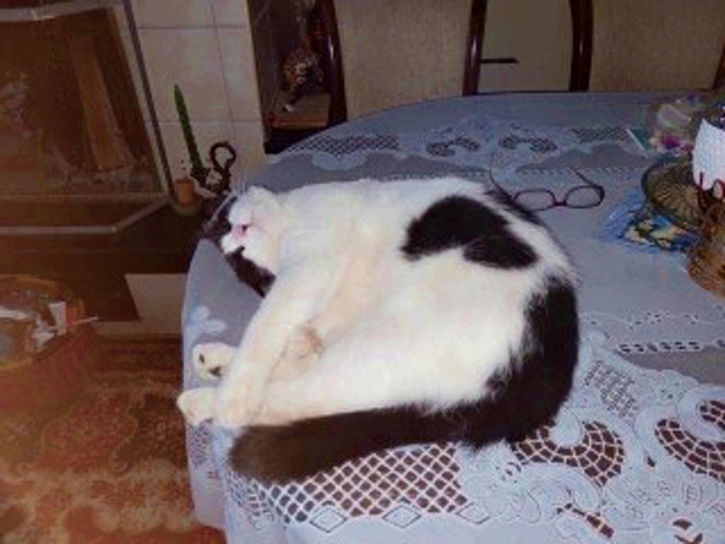 Еще один наш питомец - Макс