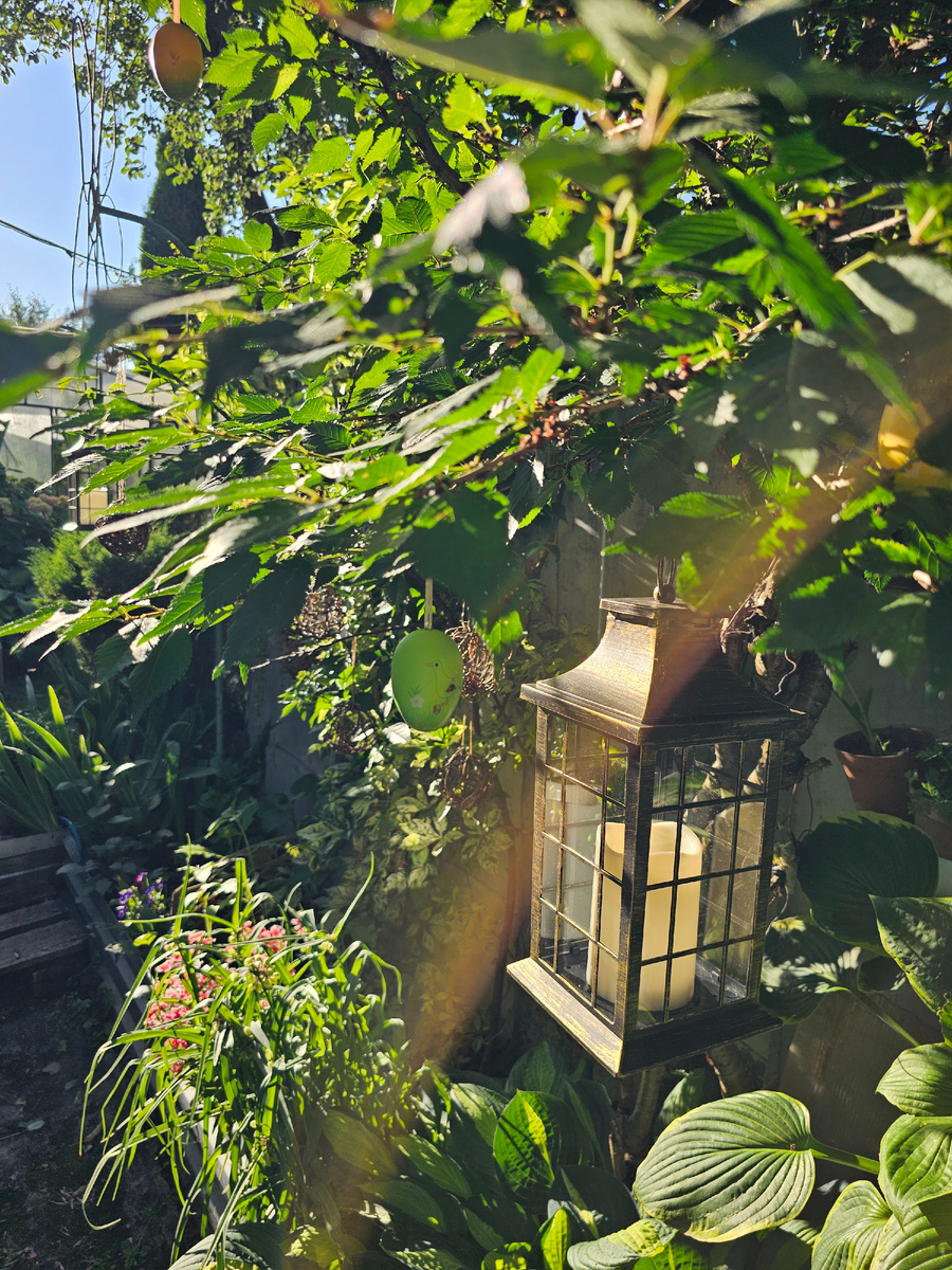 Мой любимый сад