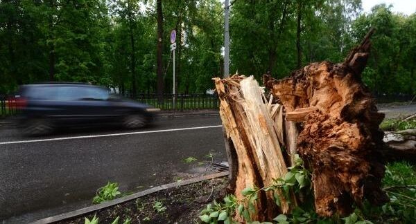    РИА «Новости»