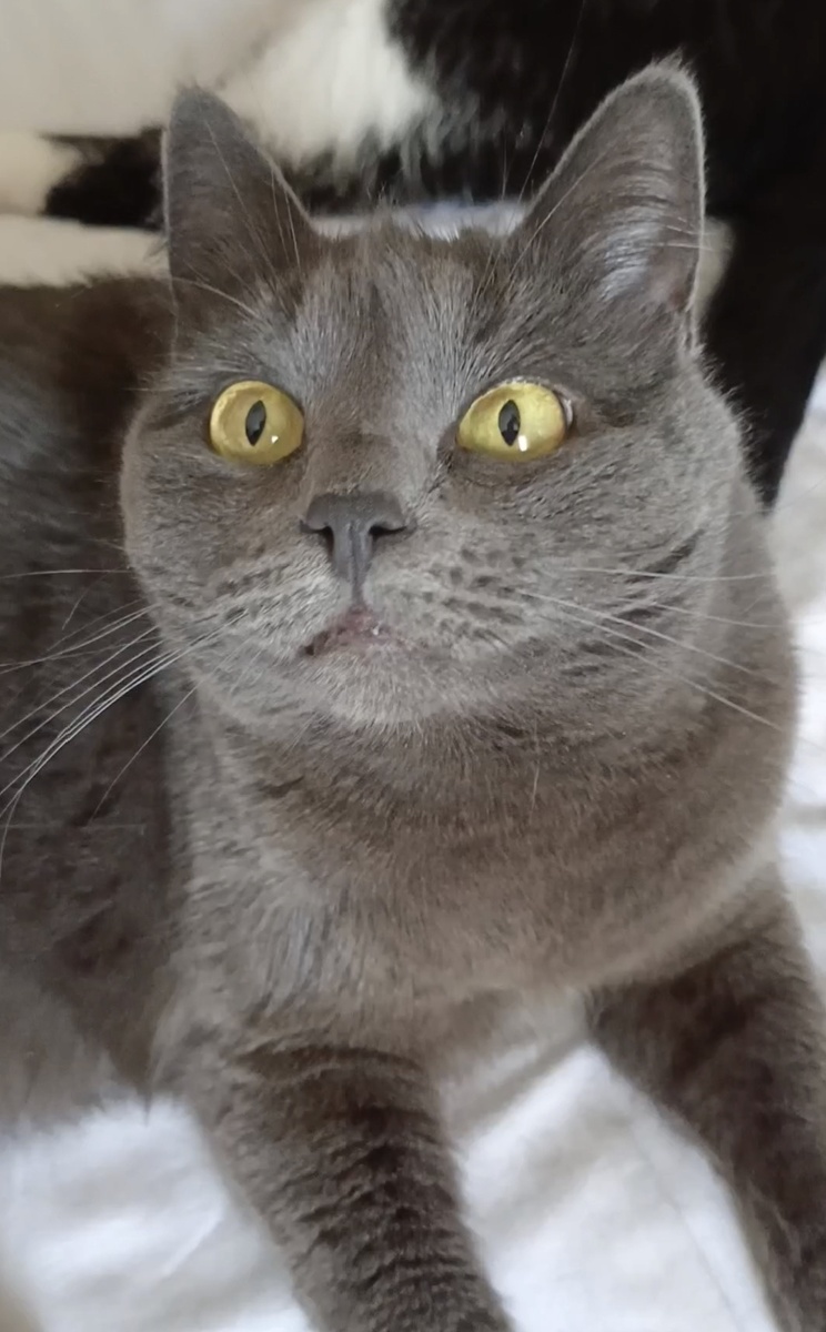 Меня похитили!