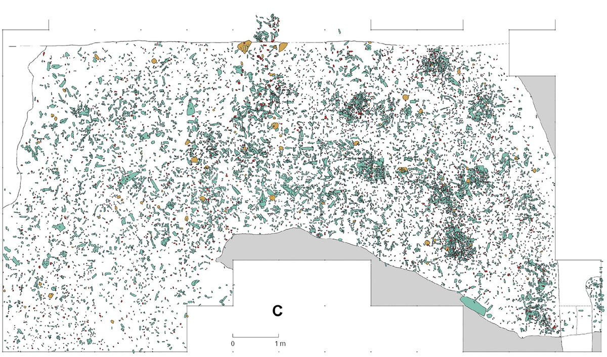 План участка, на котором отмечены все находки  (кости — светло-голубые, камни — тёмно-синие, манупорты оранжевые).