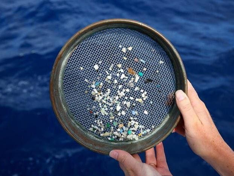 Фото из статьи https://bethesdagreen.org/microplastics-from-our-products-to-our-plates/ На фото небольшие кусочки пластика 