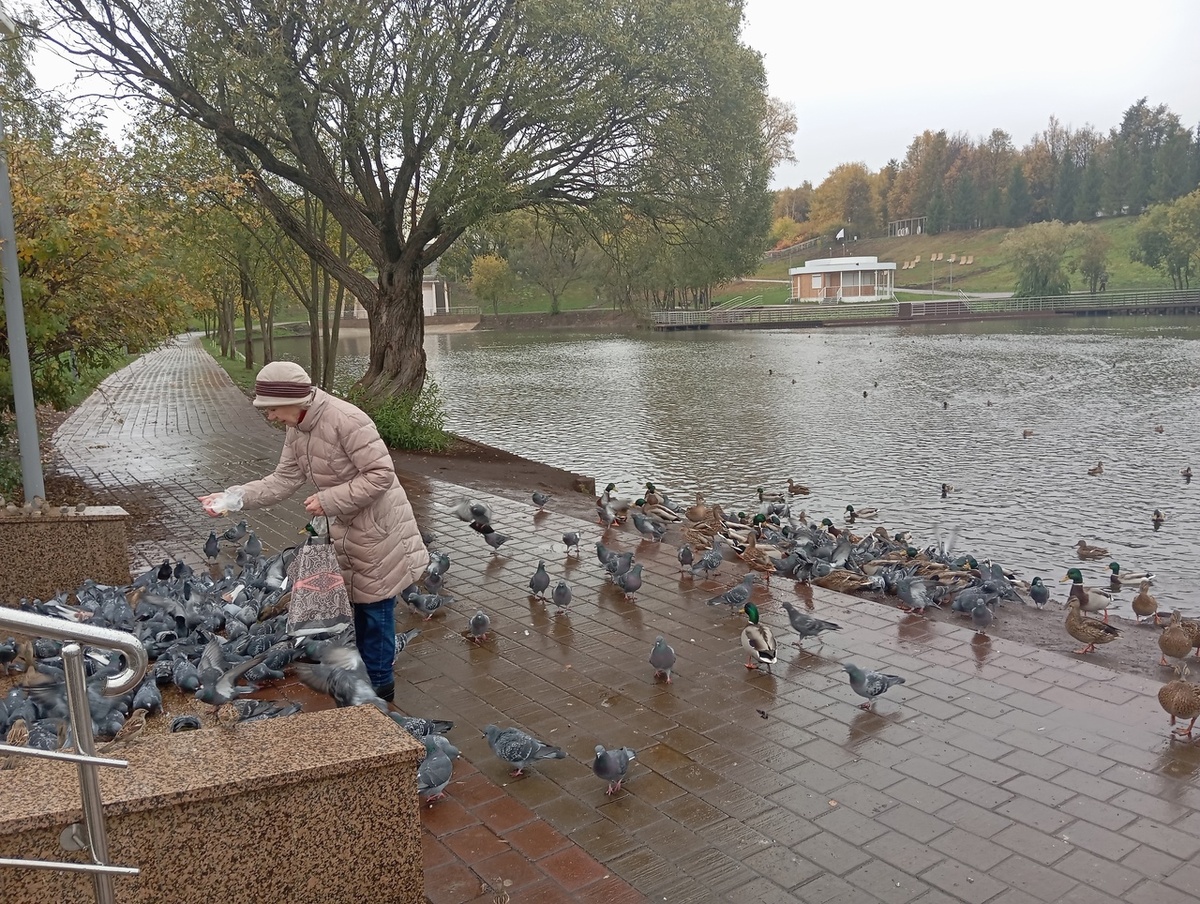    Немец не поверил, что пенсия в РФ - 200 евро: вот сколько получают пенсионеры в Германии