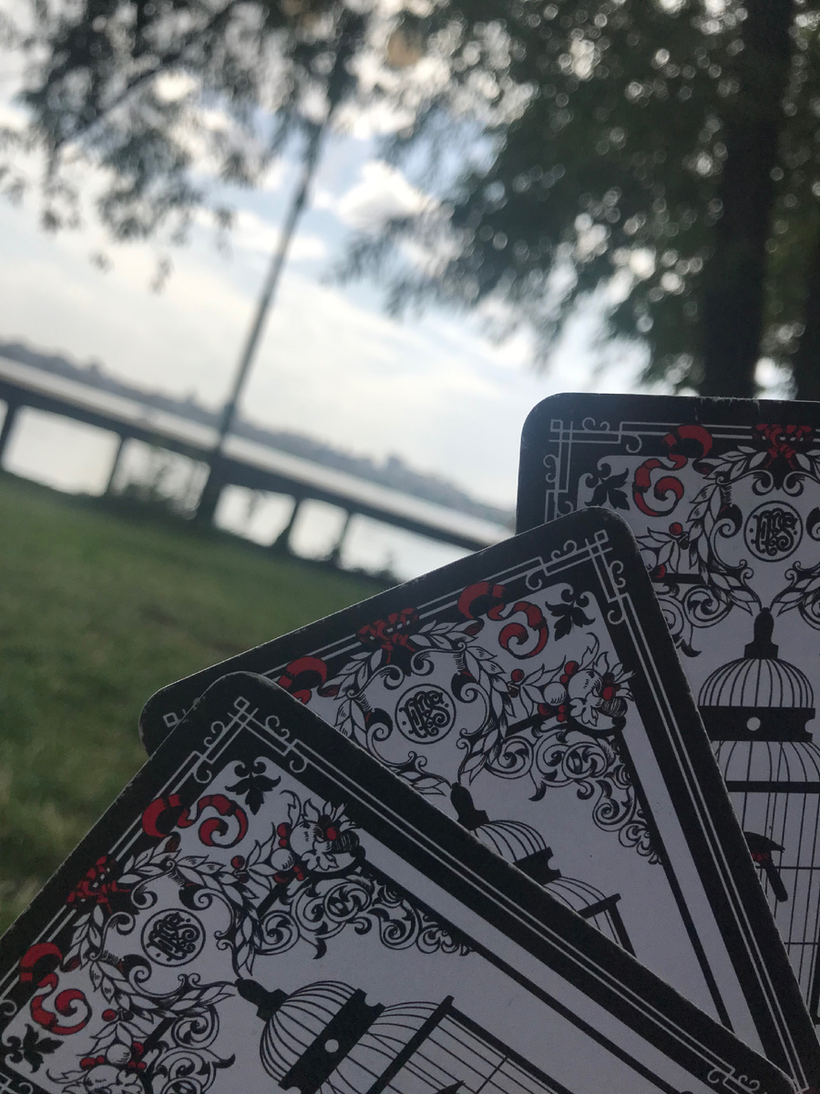 Доброго времени суток, моя яркая гостья!)У каждого в жизни бывает тот волшебный миг, который  нужно успеть уловить!!!!Скорее поймай свой!!!!Закрой глазки,загадай цифру 1,2,3или 4 и читай скорее!)