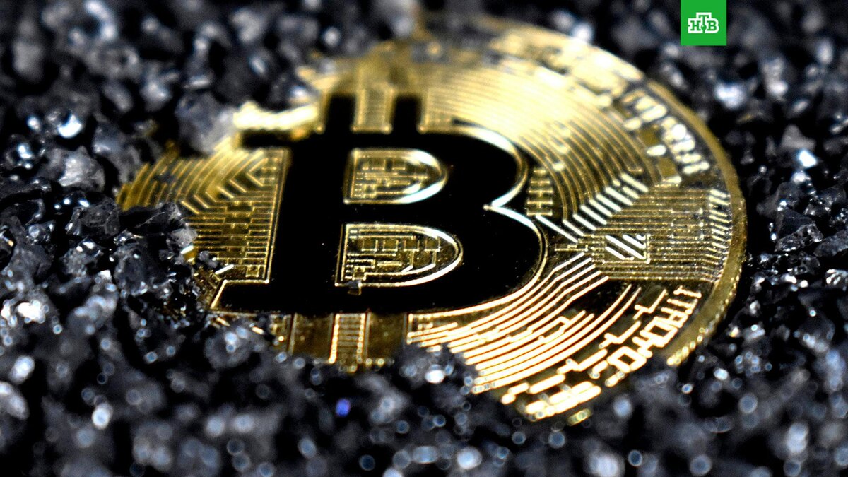    Фото: Kanchanara / unsplash.com