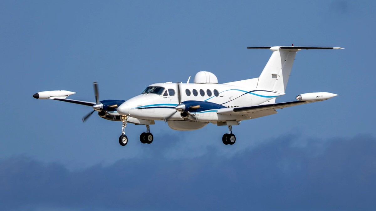    Фото: InsectWorld/Shutterstock/Fotodom