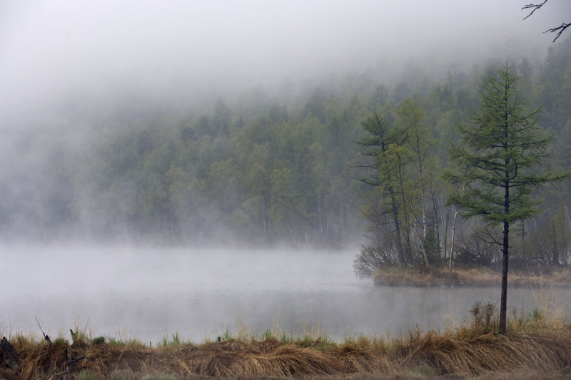    ФОТО: Serguei Fomine/Russian Look/Global Look Press