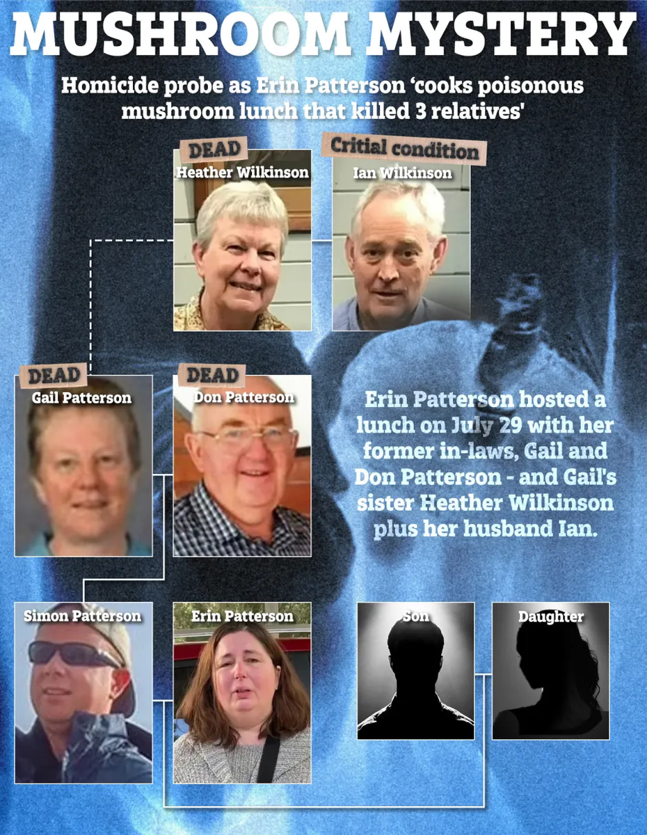 Фото из свободных источников