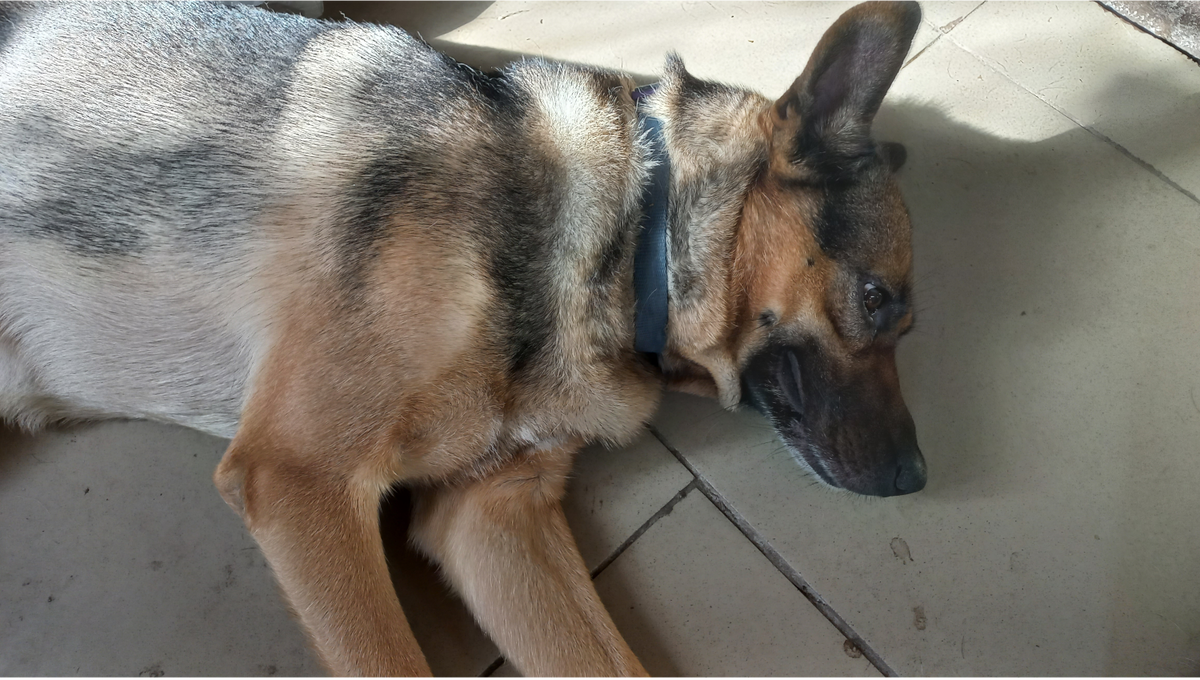 Это и другие фото в статье сделаны автором и принадлежат ему на условиях авторского права 