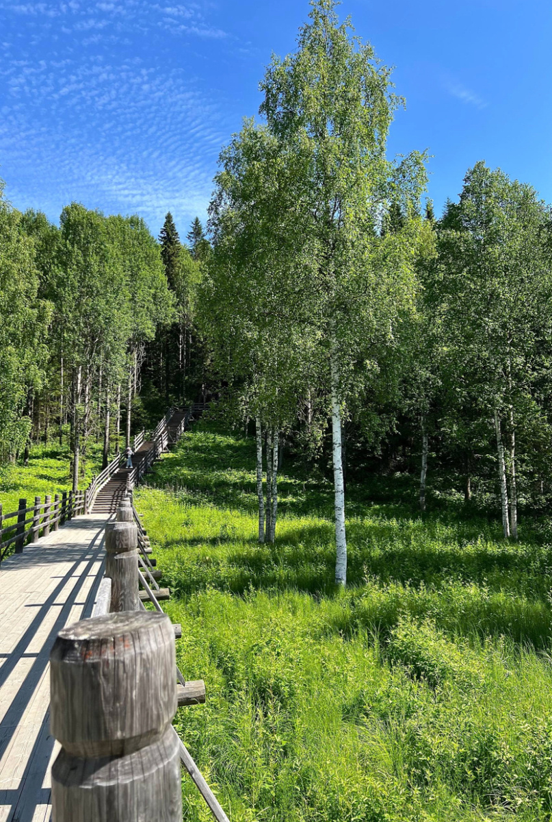 Фото из открытых источников.