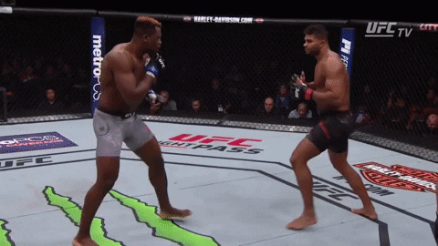 нокаут в бою Фрэнсис Нганну vs Алистар Оверим