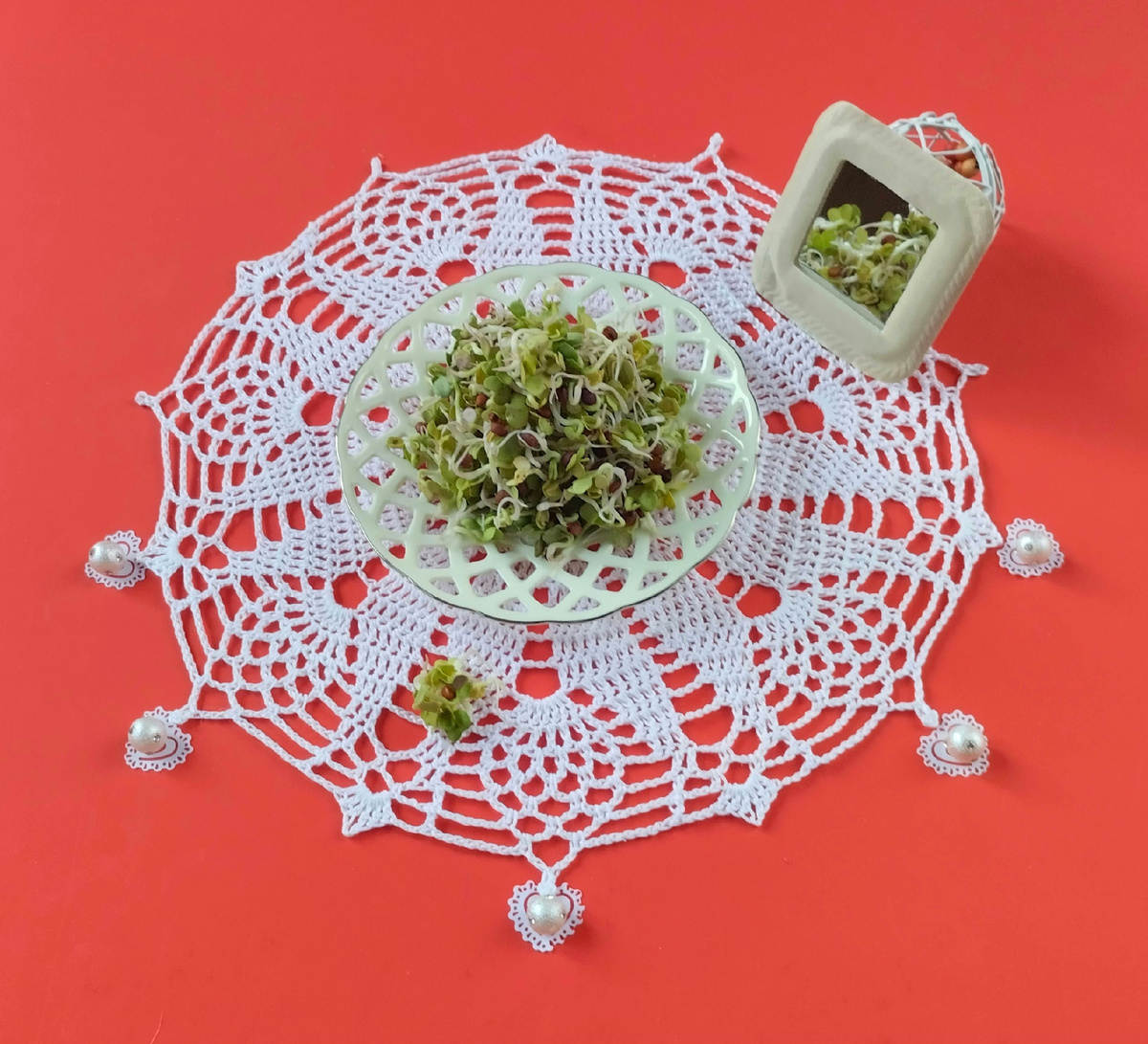 Проростки дайкона.