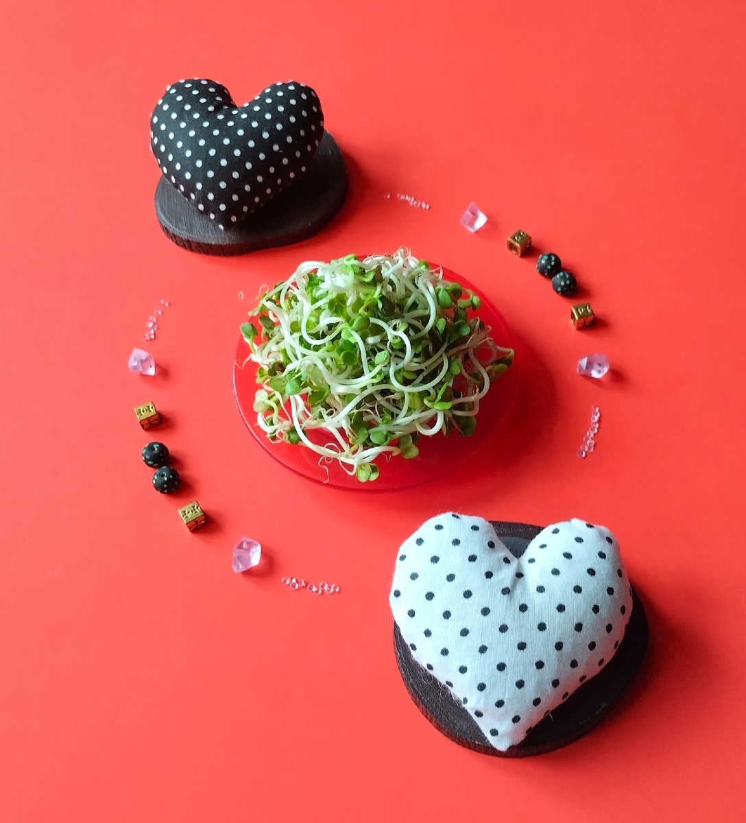 Готовые проростки дайкона.