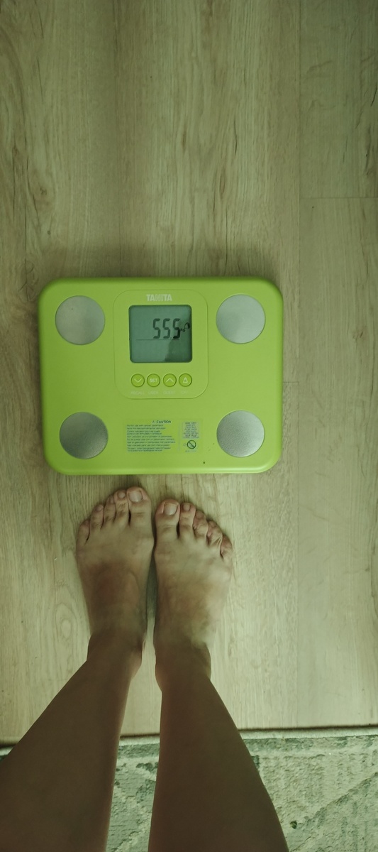 Весы танита