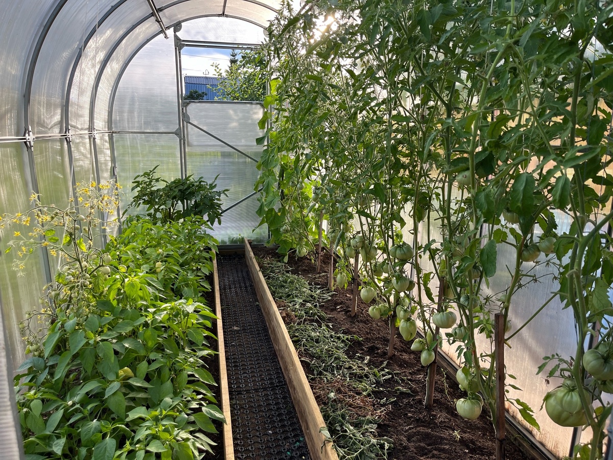    Две бутыли с водой - и теплица открывается и закрывается автоматически. Каждому дачнику на заметку