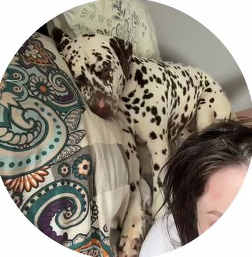 Тот кто обожает спать на подушках!