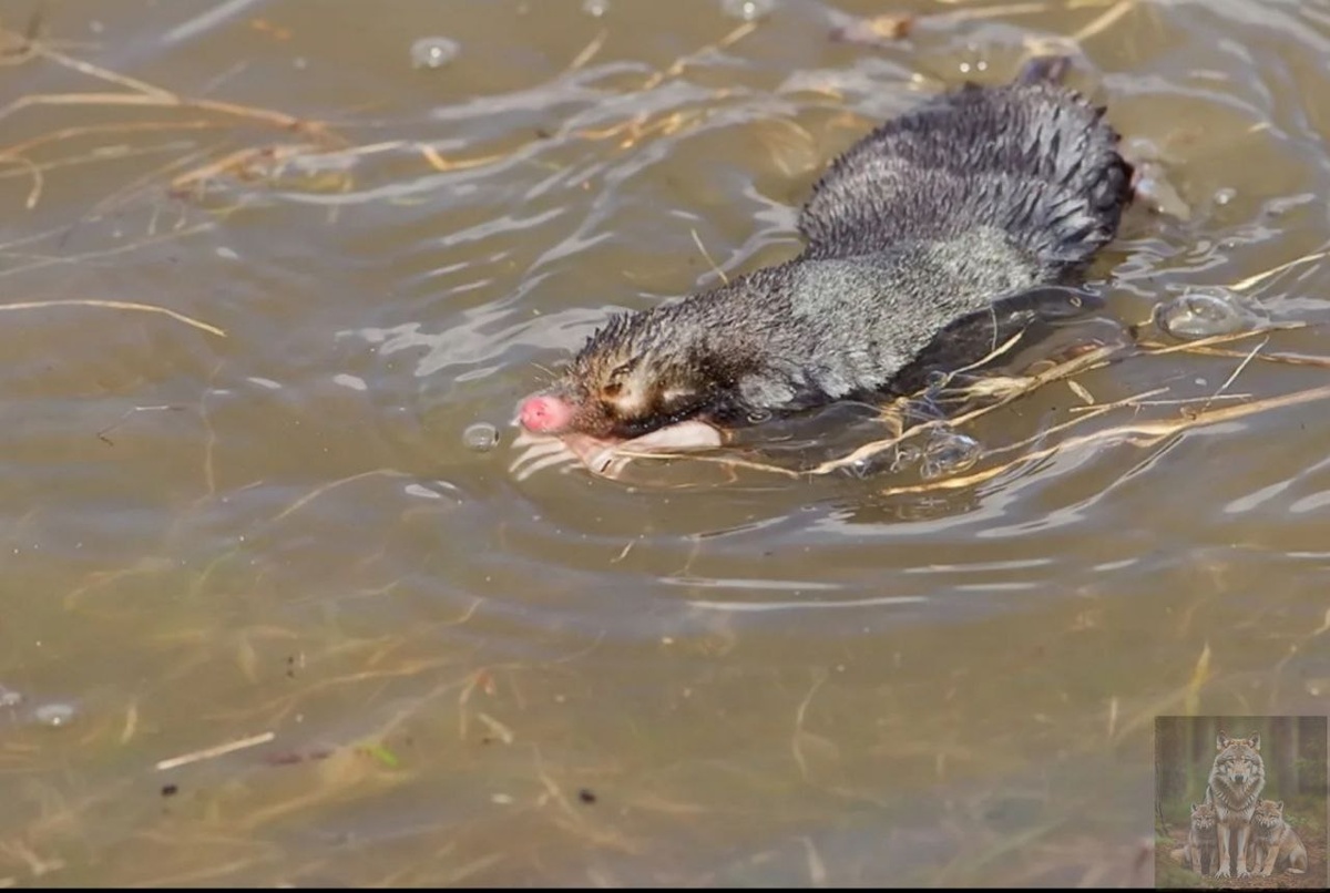 Водичка сегодня какая тепленькая то